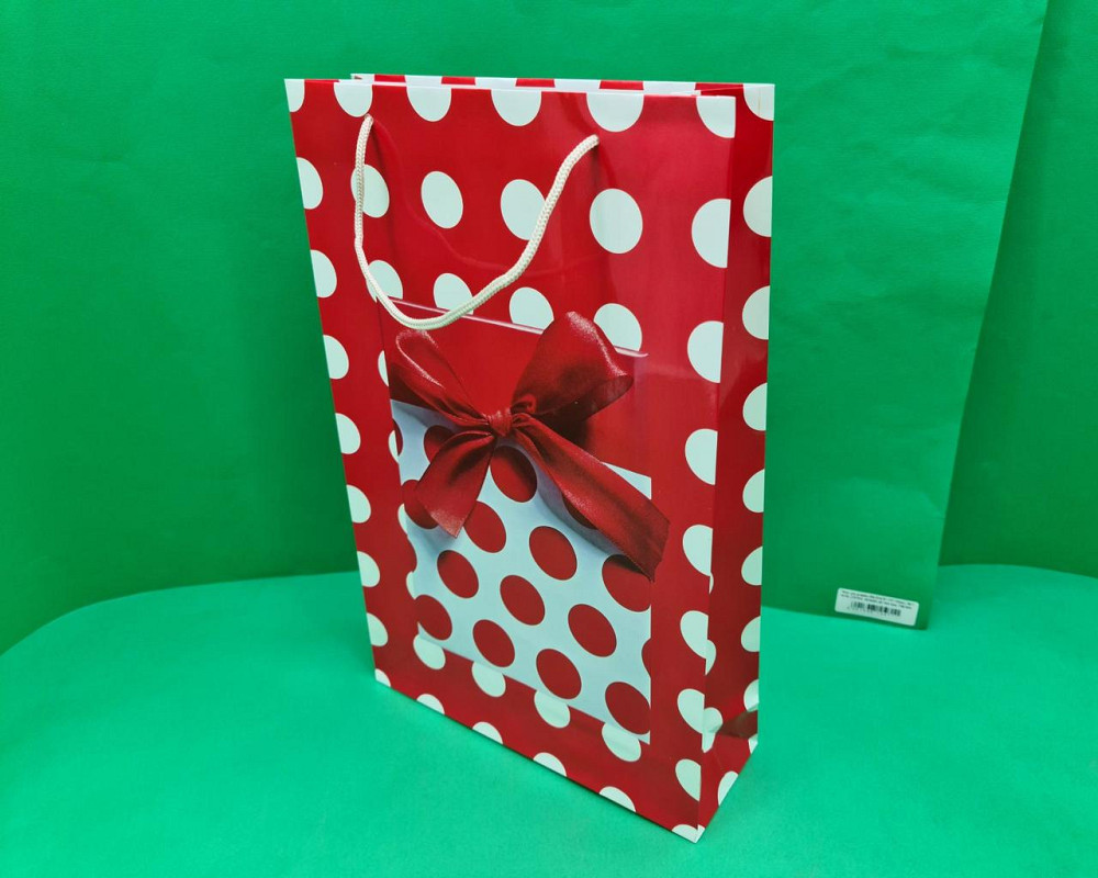 Великий паперовий пакет вертикальний 25/37/8 (артBV-143) (12 шт.) Харків - фото 1