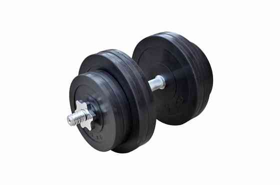 Гантель обгумована набірна Одна на 31 кг Гантелі, гирі, штанги та диски металеві Київ