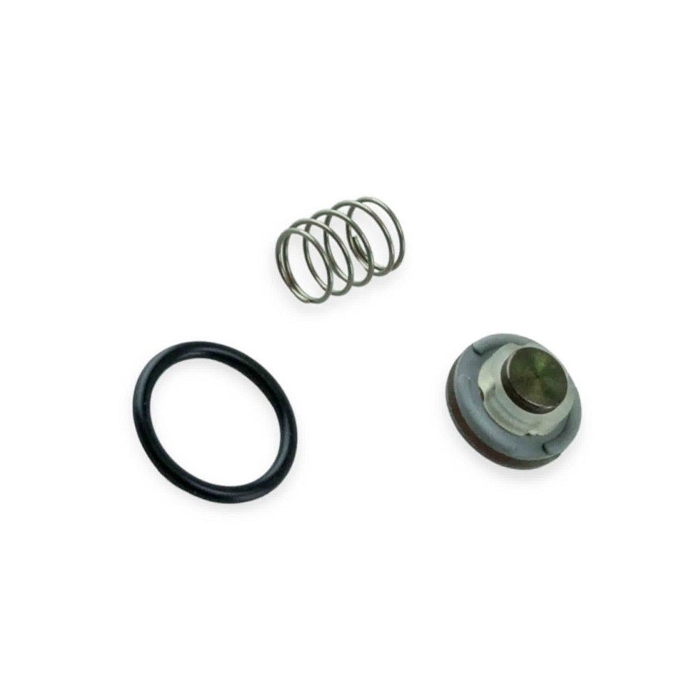 Ремкомплет ahcr (romano) форсунок Мукачево - фото 1