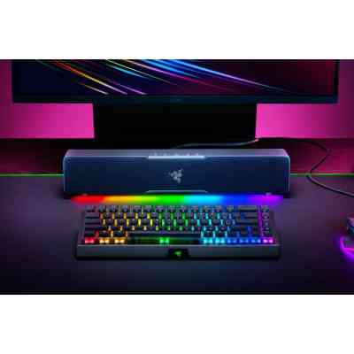 Акустична система Razer Leviathan V2 X (RZ05-04280100-R3M1) Вінниця