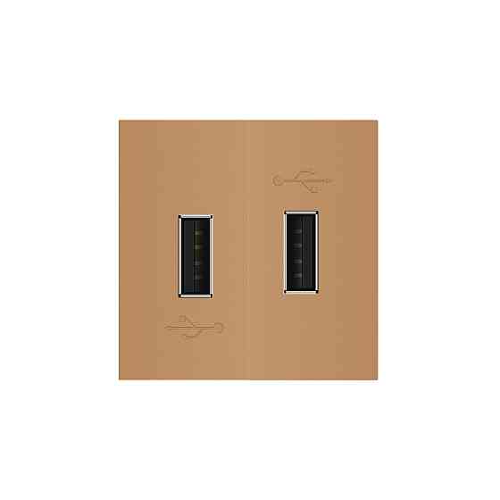 Подвійна розетка USB LIVOLO золота, з блоком живлення 2×USB-A 5V/2.1A, 2×10Вт, модуль (VL-FCUA-2AP) Коломыя