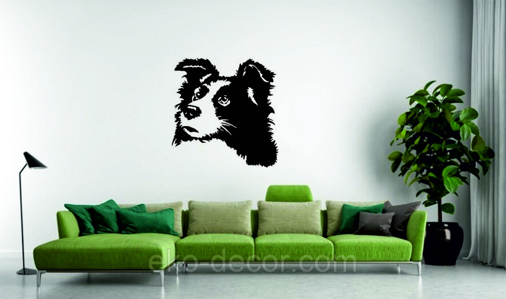 Декоративне настінне Панно «Бордер-Колі», Декор на стіну Київ - фото 9