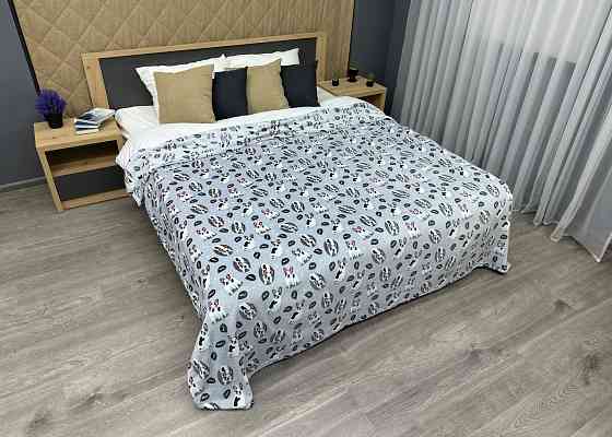 Плед-покривало Decorator WellSoft WOOF 200х205 см з принтом "Песики" (87-195) Київ