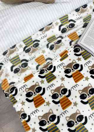 Плед-покривало Decorator WellSoft RACCOON 200х205 см з принтом "Єноти" (87-193) Київ