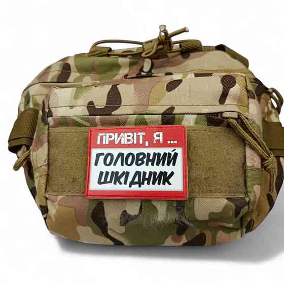 Патч / шеврон Привіт, я головний шкідник Запоріжжя