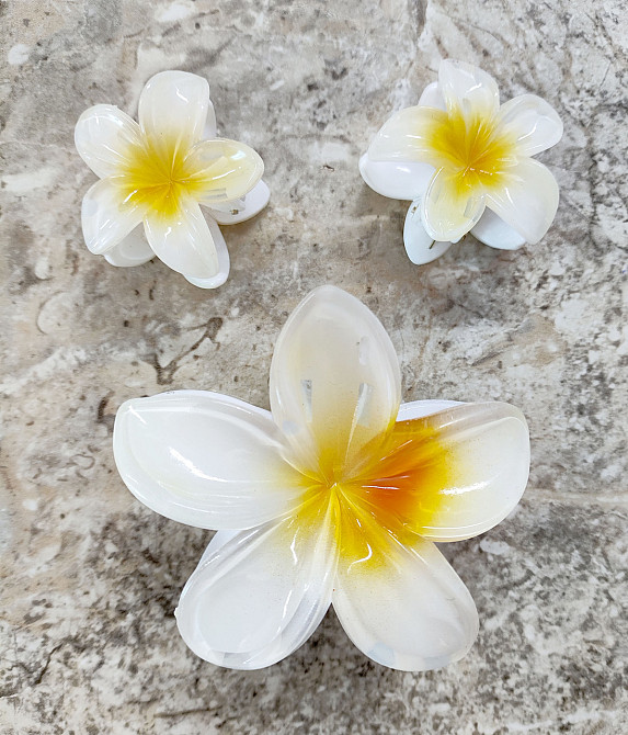 Комплект заколок квітка 3 шт. (білі з жовтою серединкою) Сміла - фото 1