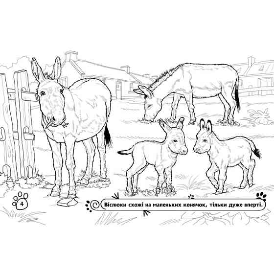 Дитяча розмальовка "Тварини на фермі" 583011, 16 сторінок Вінниця