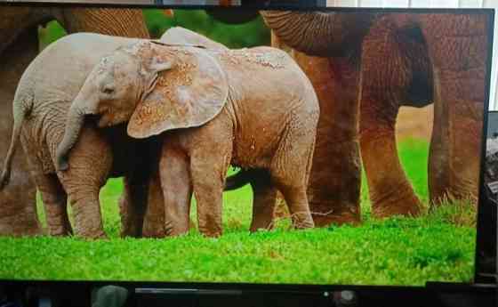 Телевизор: 65