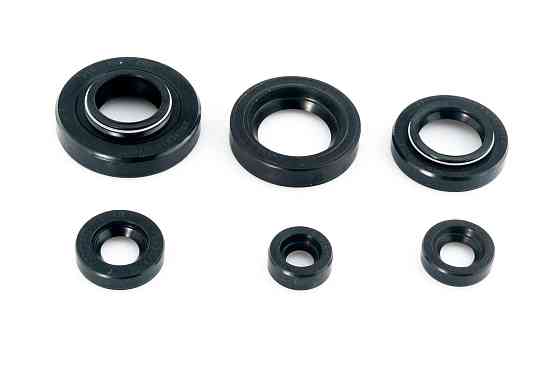 Сальники (набір) МУРАВЕЙ (6шт) JING Киев