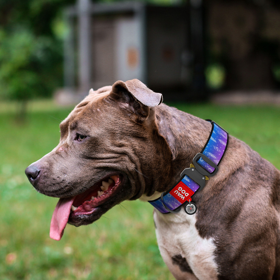 Нашийник для собак нейлоновий WAUDOG Nylon з QR паспортом, малюнок "Ловець снів", металева пряжка-фастекс, Вінниця - фото 3