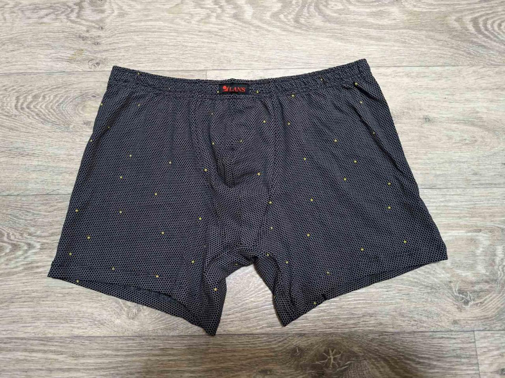 Мужские трусы шорты удлиненные Lans 