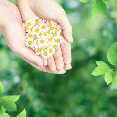 Гігієнічні прокладки Naturella Ultra Normal 20 шт (8001090585592) Вінниця - фото 7