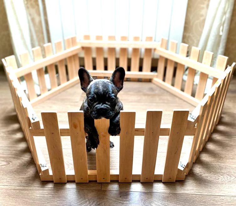 Вольєр для цуценят "Діджель" бланже Миколаїв - фото 1