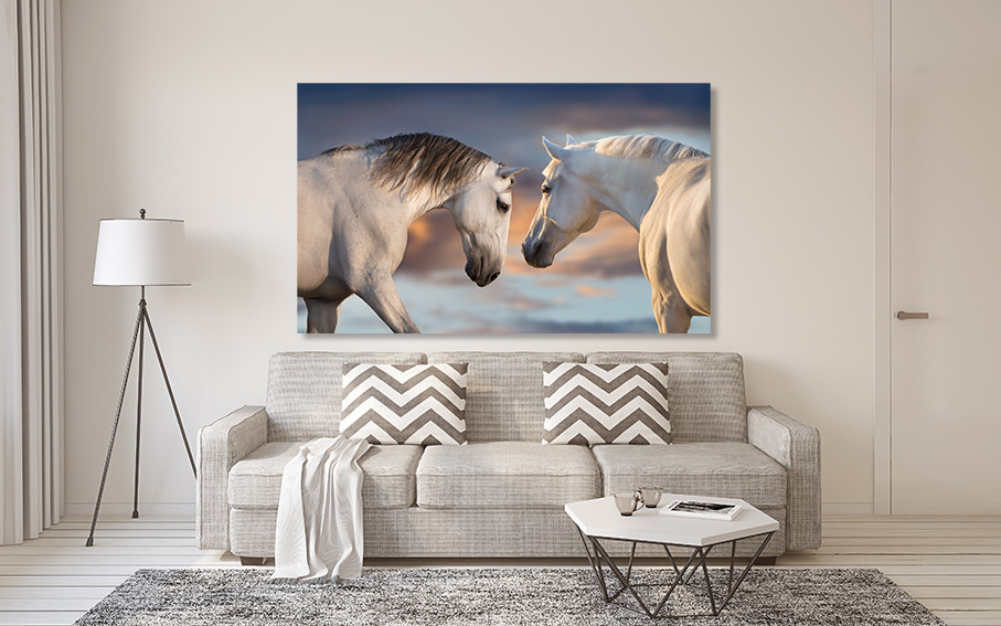 Картина полотно у вітальню / спальню   Пара конів   MLP_267 ( 60х30см ) 80x120 см Київ - фото 2