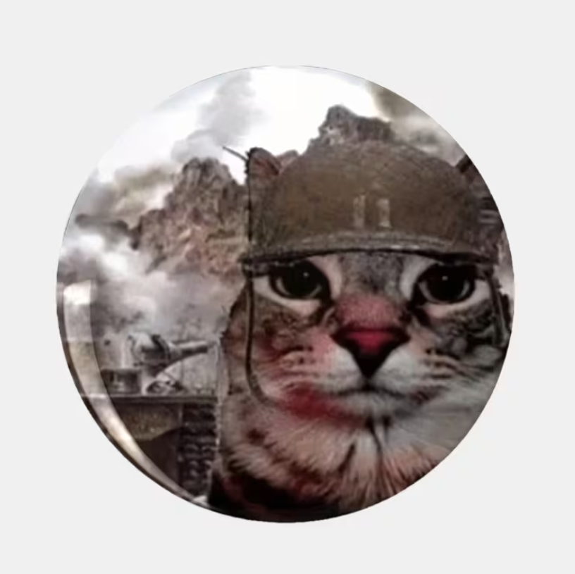 Брошь котик в шлеме – стильный круглый значок Киев - изображение 1