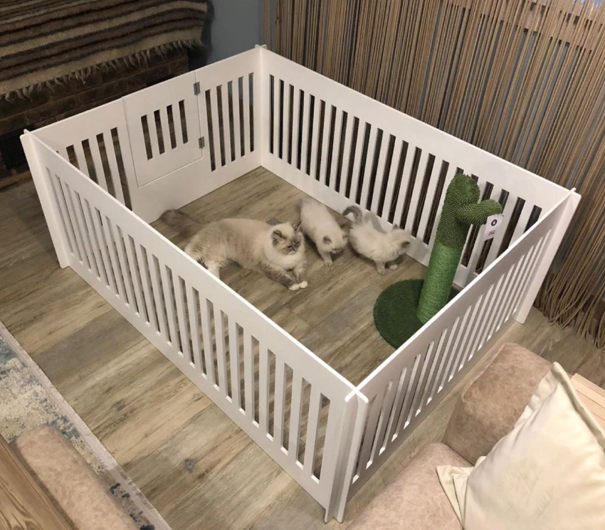 Вольер для щенков 