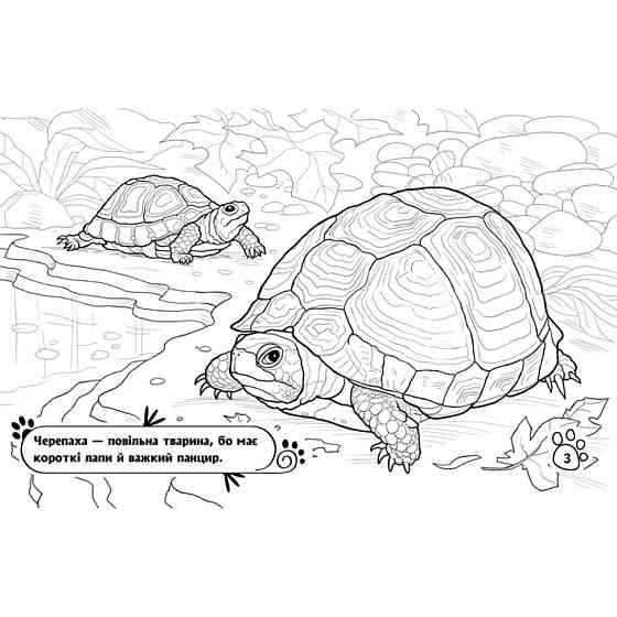 Дитяча розмальовка "Тварини у домі" 583010, 16 сторінок Вінниця