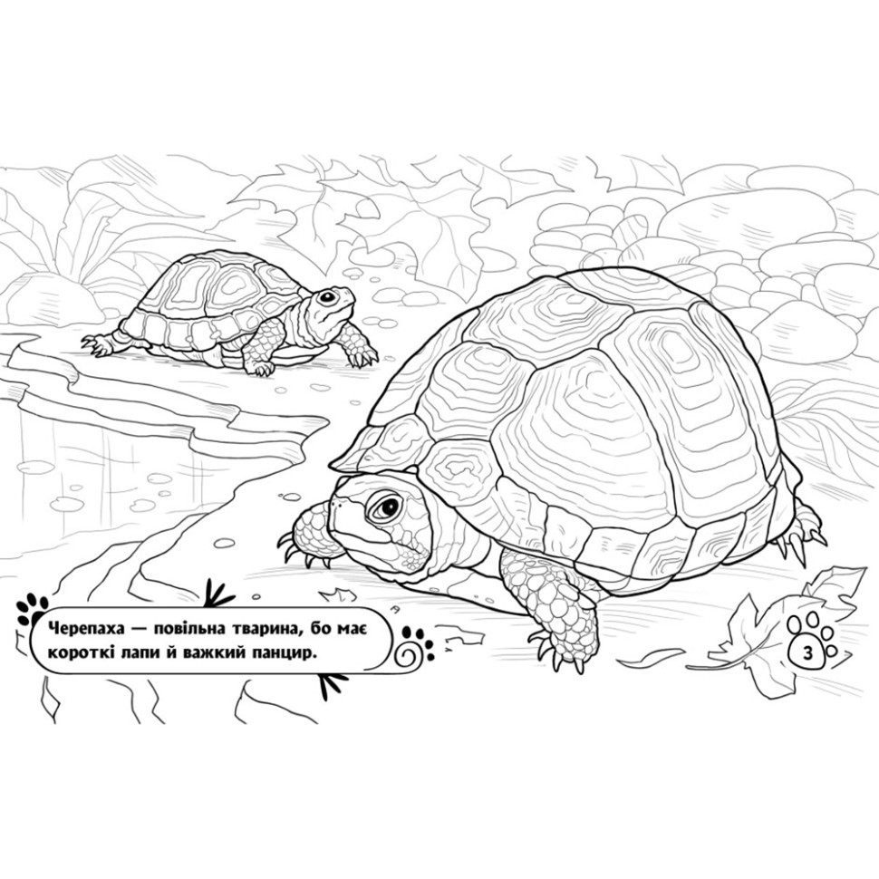 Детская раскраска 