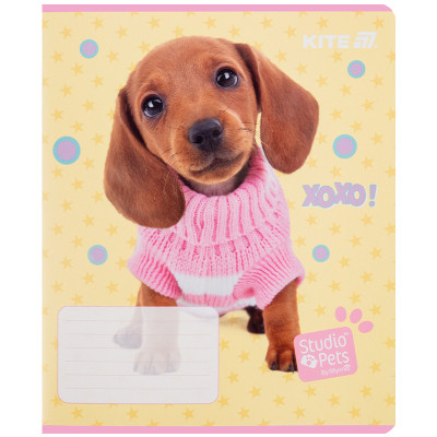 Тетрадь Kite Studio Pets, 12 листов, линия (SP25-234) Винница - изображение 9
