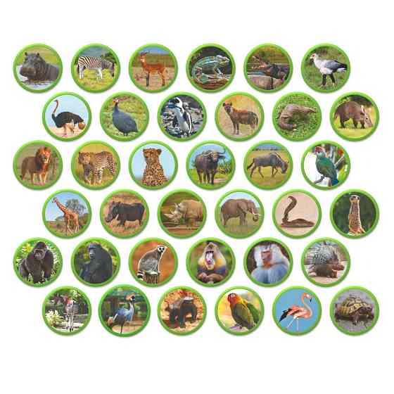 Дитячий магнітний набір Монтесорі "Тварини на континентах: Африка" 200284, 36 елементів Вінниця