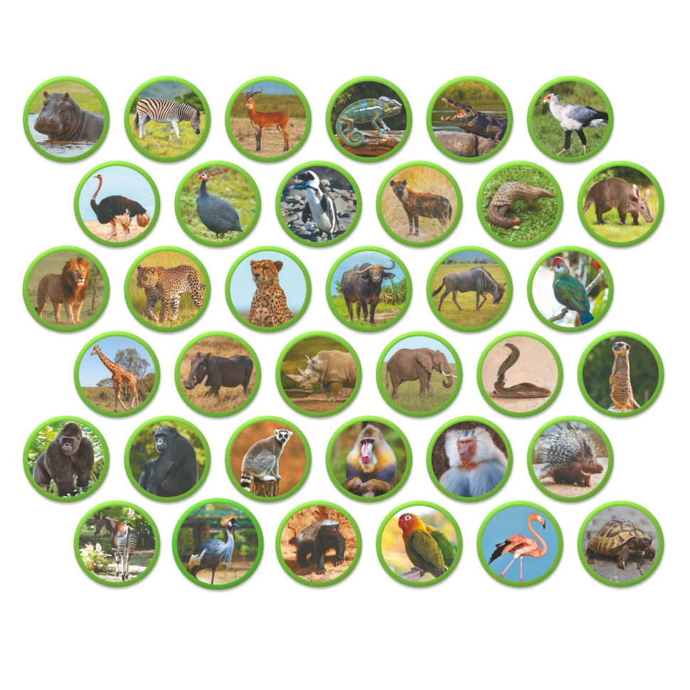 Детский магнитный набор Монтессори 