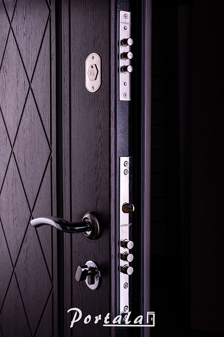 Двері вуличні, серія Люкс+КАЛЕ, фарбований МДФ, модель Шампань, гнутий профіль, коробка 100 мм, полотно 76 мм Київ - фото 3