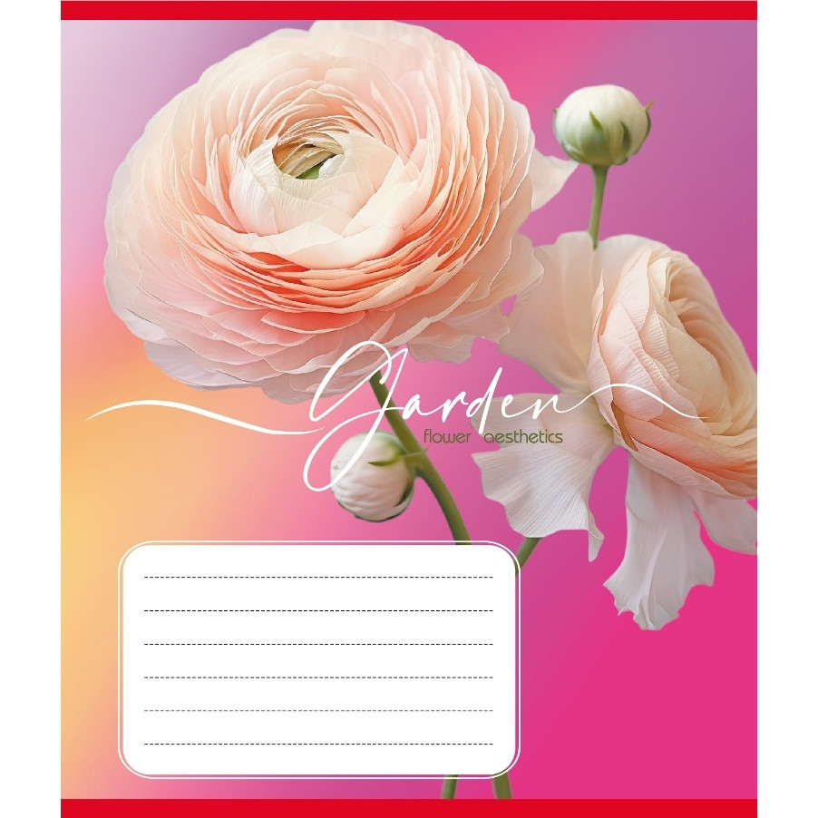 Зошит учнівський "Естетика" 024-550443K-4 в клітинку, 24 аркуші Вінниця - фото 1