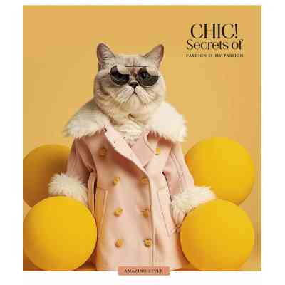 Тетрадь Школярик Fashion chiс 60 листов клетка (060-3458K) Винница