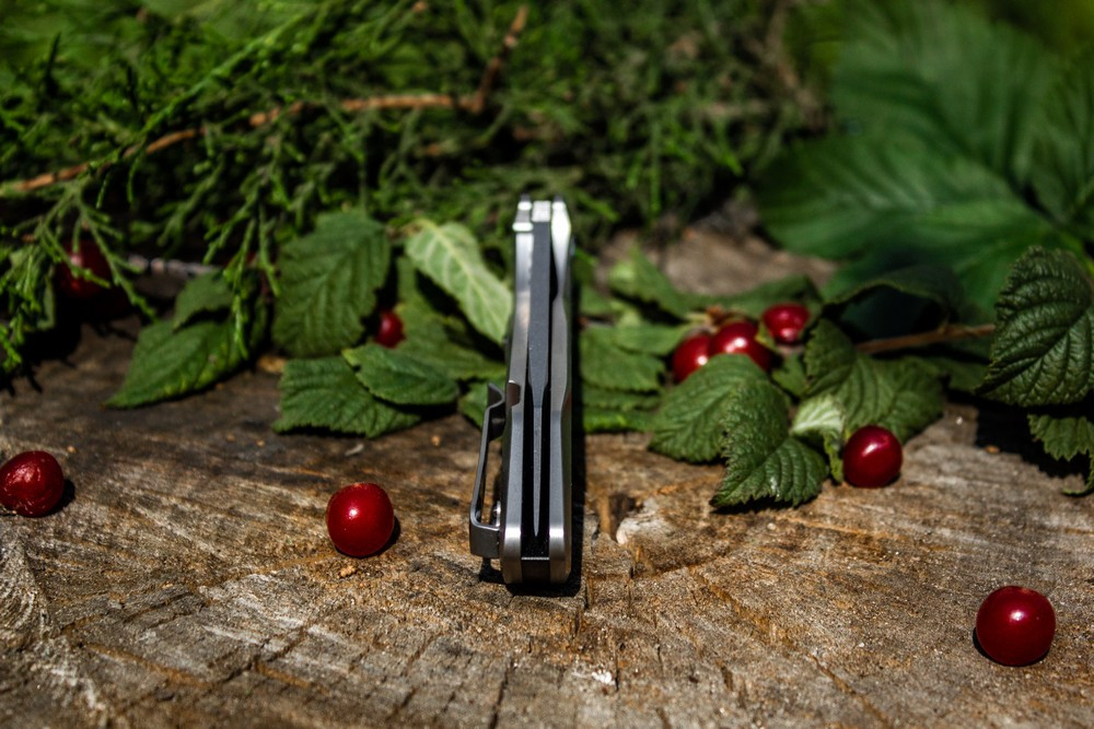 Ніж складаний туристичний Ruike P135-SF, (9.2 см) 14C28N / steel 420 сірий Київ - фото 20