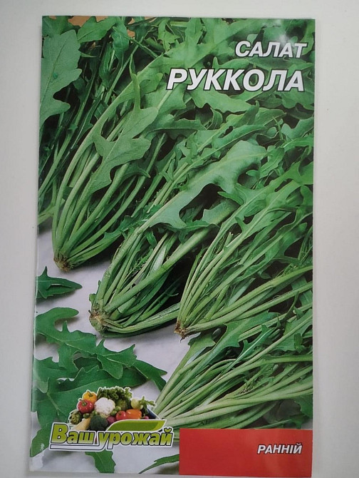Салат "Руккола" 7 гр ТМ Ваш Урожай Харків - фото 1