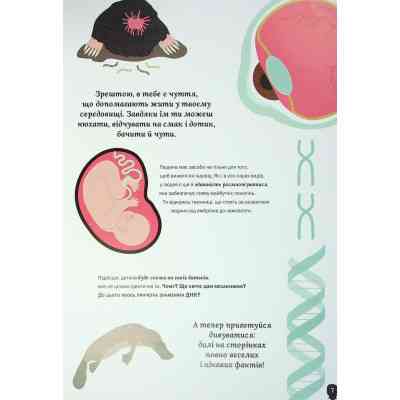 Книга Тіло людини - Кристина Перабоні Жорж (9786177853199) Вінниця