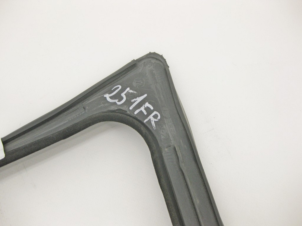 Mercedes-Benz  A2517250225 Ущільнювач опускного скла передніх правих дверей R-Class W251 Одеса - фото 9