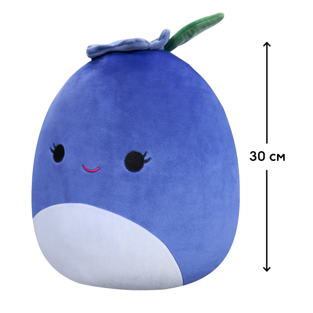 М'яка іграшка Squishmallows – Чорниця Блубі (30 cm) Днепр - изображение 2