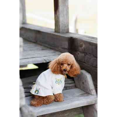 Футболка для тварин Pet Fashion Maryana XS2 (4823082439287) Вінниця