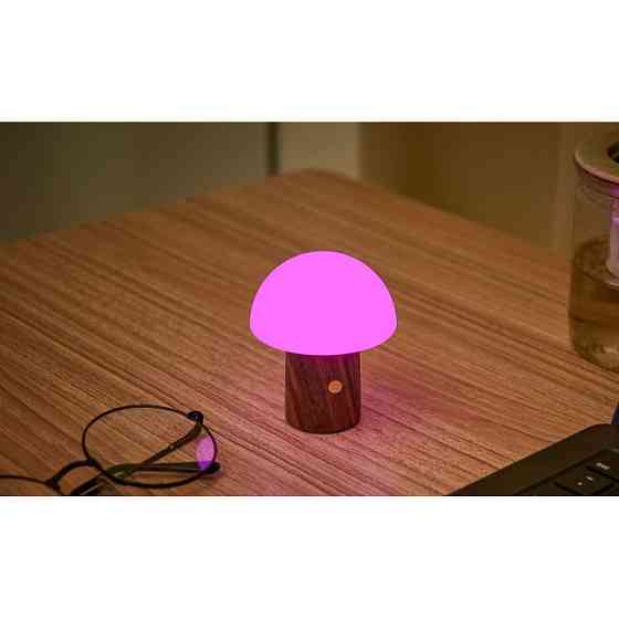 Світильник на акумуляторі Gingko Alice Mushroom Lamp Super Mini, горіх | G022S-WT Рівне