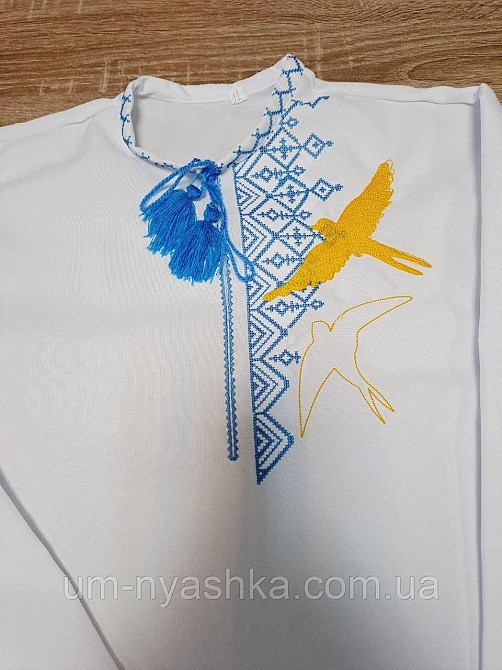 Хлопчача вишиванка "Ластівки" Кривий Ріг - фото 5