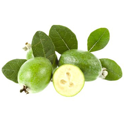 Саджанці фейхоа Тріумф - 1-річний Чернівці - фото 1