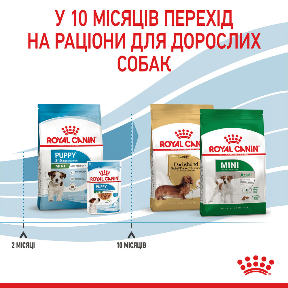 Корм для цуценят малих порід ROYAL CANIN MINI PUPPY 0.8 кг Київ - фото 6