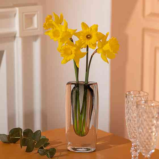 Flower Season Ваза скляна прозора 8.3х6х18.5 см для квітів декоративна 150 мл HP-10-17 Киев