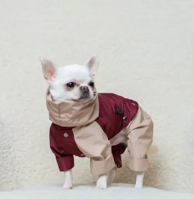 Дощовики для собак з тонкою підкладкою комбінезон трансформер Dogs Bomba, знімні штани та капюшон марсала 5 Одеса - фото 8