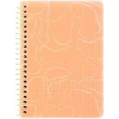 Блокнот Axent на спирали B6 80 листов, клетка, пластиковая обложка, оранжевый (8463-3-A) Винница