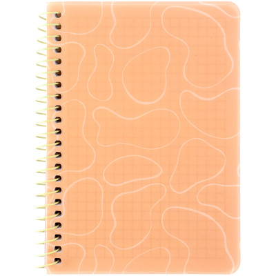 Блокнот Axent на спирали B6 80 листов, клетка, пластиковая обложка, оранжевый (8463-3-A) Винница - изображение 1