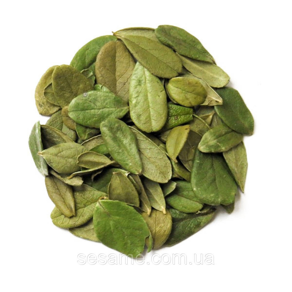 Брусника листья (пак/50 грамм) Харьков - изображение 1