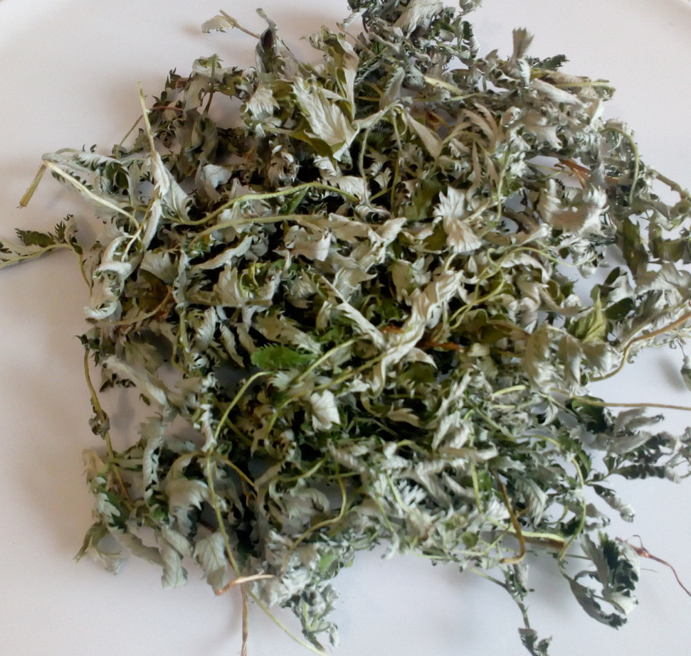 Лапчатка желтая / Лапчатка гусиная / Гусиные лапки (трава), 500г. MasterSEM Киев - изображение 1