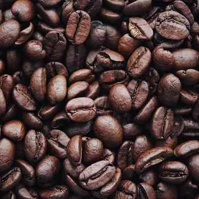 БІО-Шампунь Зміцнення та Ріст для волосся з віковими змінами з Кофеїном Logona 250 мл Київ