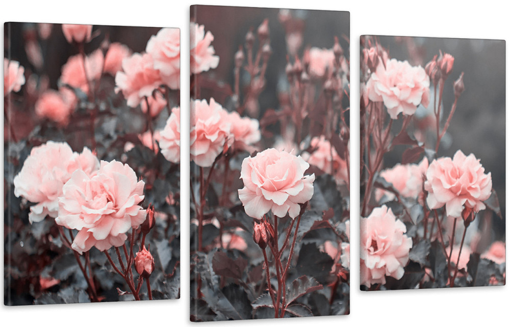 Модульная картина в гостиную / спальню Троянди рожеві Art-611_3 Киев - изображение 1