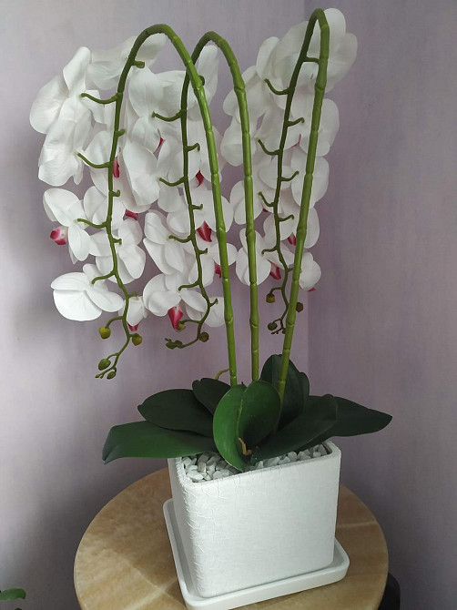 Штучна латексна орхідея VIP в білому керамічному кашпо на три гілки біла Дніпро - фото 8