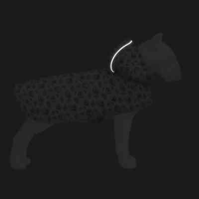 Дощовик для тварин WAUDOG Clothes Накидка з капюшоном Авокадо на рожевому M (357-4051) Вінниця