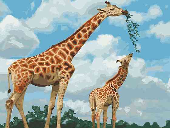 Картина за номерами. Art Craft "Грація савани" 40х50 см 11634-AC Вінниця