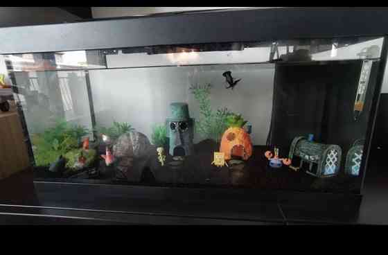 Декор для аквариума с мультфильма Губка Боб 6 фигурок пластик разноцветный Киев